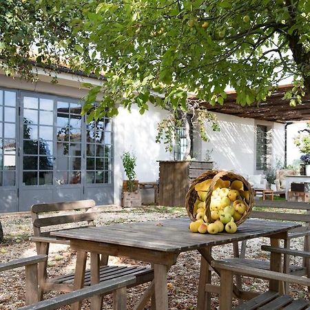 Villa Vallecento Con Giardino - Borgo Stays Monterosi Экстерьер фото