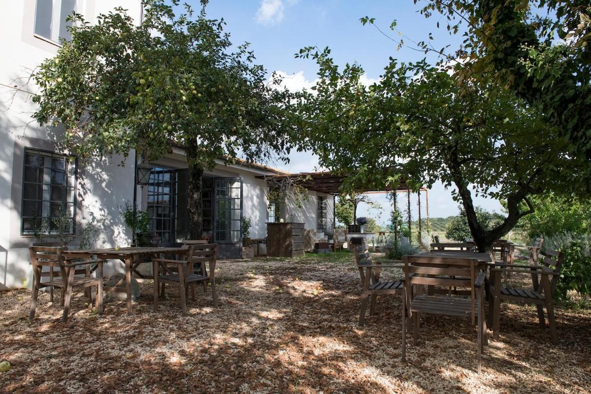Villa Vallecento Con Giardino - Borgo Stays Monterosi Экстерьер фото